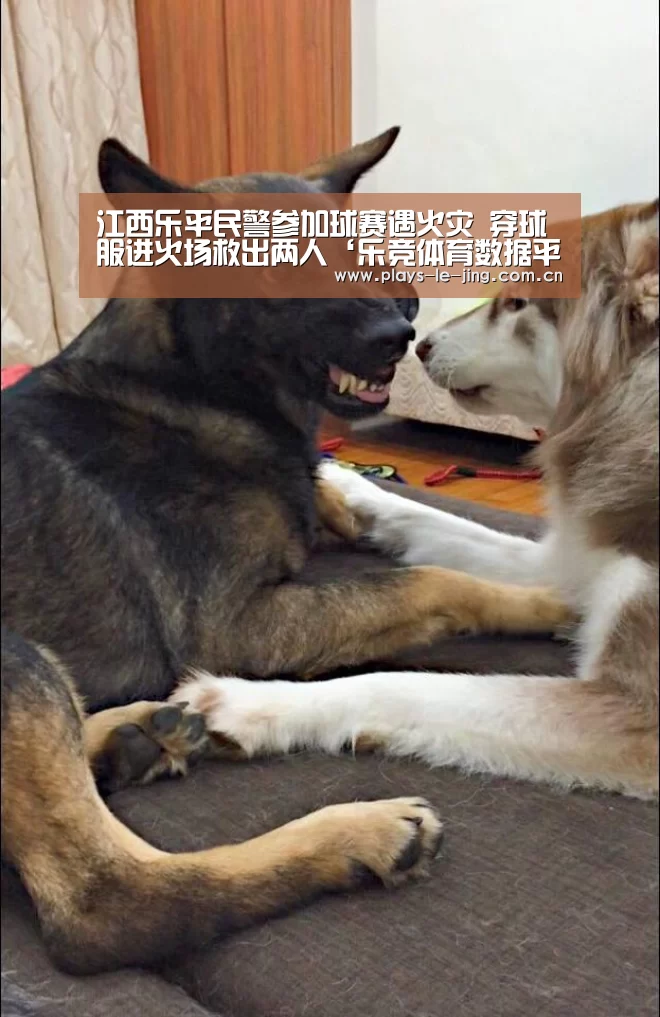江西乐平民警参加球赛遇火灾 穿球服进火场救出两人‘乐竞体育数据平台’(图1) 乐竞体育赛事分析