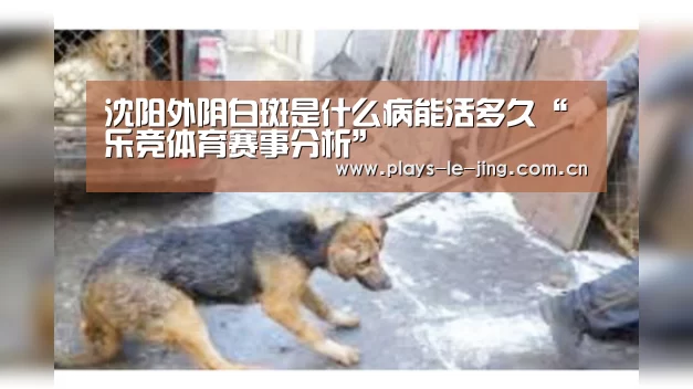 沈阳外阴白斑是什么病能活多久“乐竞体育赛事分析”(图1) 乐竞体育赛事分析