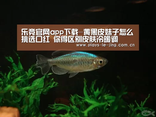乐竞官网app下载-黄黑皮妹子怎么挑选口红 你得区别皮肤冷暖调(图4) 乐竞官网app下载