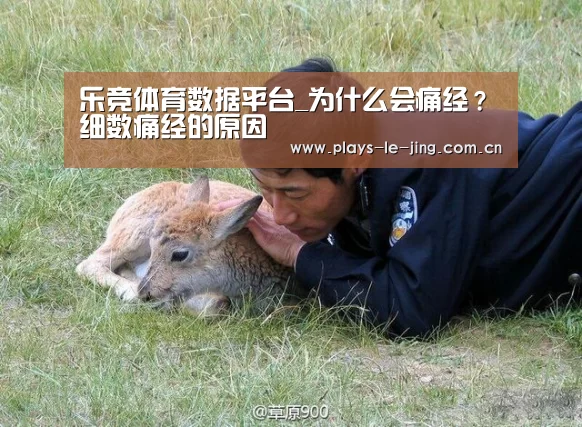 乐竞体育数据平台_为什么会痛经?细数痛经的原因(图2) 乐竞体育数据平台