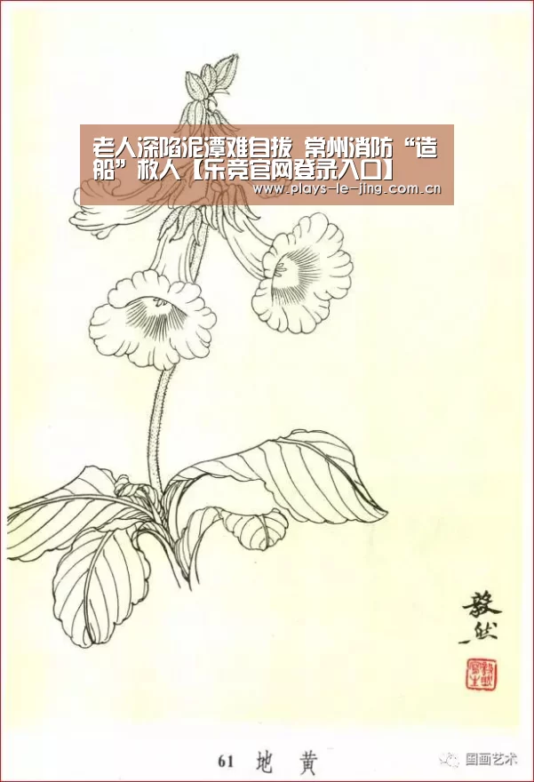 老人深陷泥潭难自拔 常州消防“造船”救人【乐竞官网登录入口】(图4) 乐竞体育数据平台